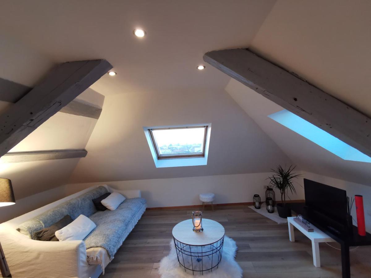 Apartament Cosy Chic Erstein Zewnętrze zdjęcie
